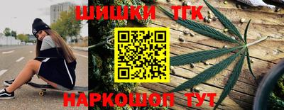 Альфа ПВП Будённовск