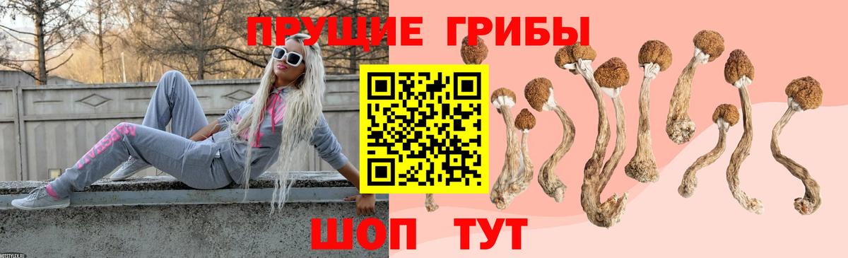 Псилоцибиновые грибы Cubensis Кириши